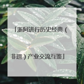 浙阿进行历史经典（非遗）产业交流互鉴
