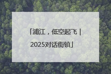 浦江，低空起飞｜2025对话街镇