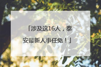 涉及这16人，泰安最新人事任免！