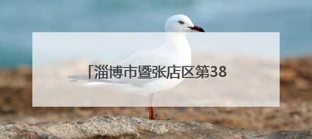 淄博市暨张店区第38个“世界无烟日”宣传活动走进“小义乌”广场