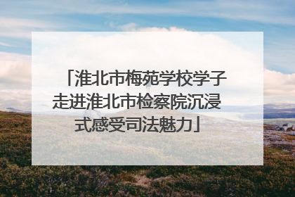 淮北市梅苑学校学子走进淮北市检察院沉浸式感受司法魅力