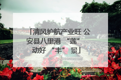 清风护航产业旺 公安县八里港 “莲” 动好 “丰” 景