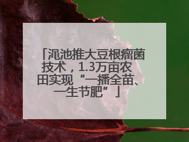 渑池推大豆根瘤菌技术，1.3万亩农田实现“一播全苗、一生节肥”
