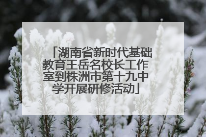 湖南省新时代基础教育王岳名校长工作室到株洲市第十九中学开展研修活动