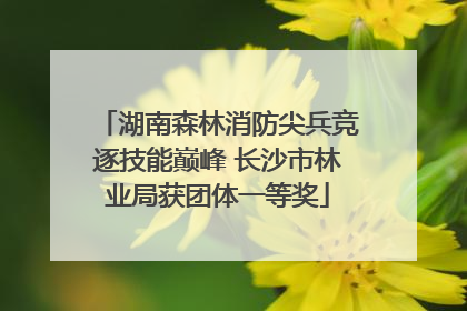 湖南森林消防尖兵竞逐技能巅峰 长沙市林业局获团体一等奖