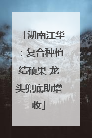 湖南江华：复合种植结硕果 龙头兜底助增收