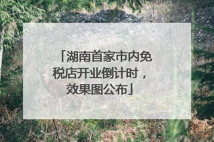 湖南首家市内免税店开业倒计时，效果图公布