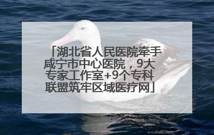 湖北省人民医院牵手咸宁市中心医院，9大专家工作室+9个专科联盟筑牢区域医疗网