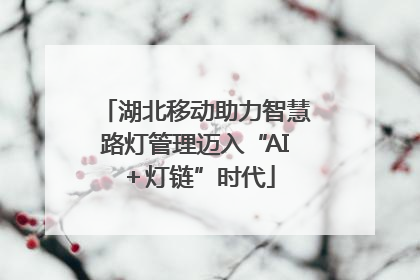 湖北移动助力智慧路灯管理迈入“AI＋灯链”时代
