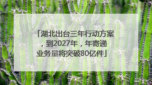 湖北出台三年行动方案，到2027年，年寄递业务量将突破80亿件