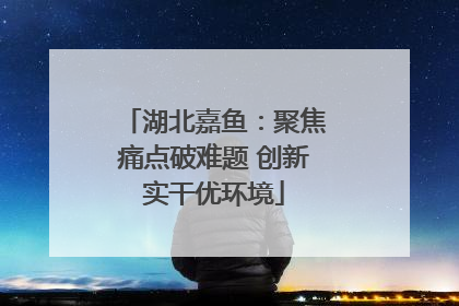湖北嘉鱼：聚焦痛点破难题 创新实干优环境