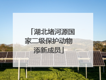湖北堵河源国家二级保护动物添新成员