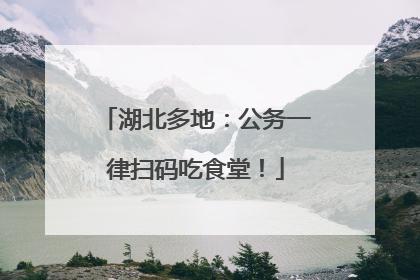 湖北多地：公务一律扫码吃食堂！