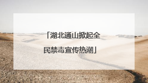 湖北通山掀起全民禁毒宣传热潮