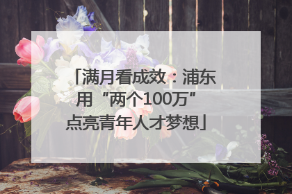 满月看成效：浦东用“两个100万”点亮青年人才梦想
