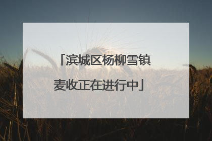滨城区杨柳雪镇麦收正在进行中