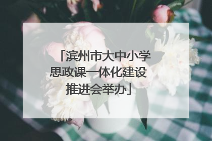 滨州市大中小学思政课一体化建设推进会举办