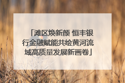 滩区焕新颜 恒丰银行金融赋能共绘黄河流域高质量发展新画卷
