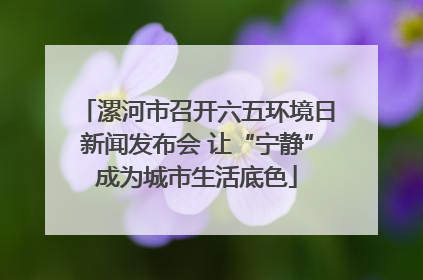 漯河市召开六五环境日新闻发布会 让“宁静”成为城市生活底色