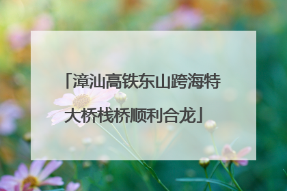 漳汕高铁东山跨海特大桥栈桥顺利合龙