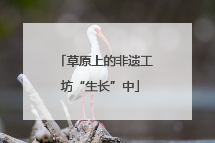 草原上的非遗工坊“生长”中
