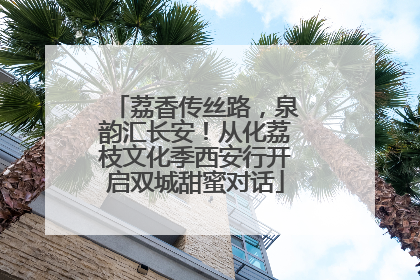 荔香传丝路，泉韵汇长安！从化荔枝文化季西安行开启双城甜蜜对话