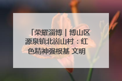 荣耀淄博｜博山区源泉镇北崮山村：红色精神强根基 文明新风润山乡