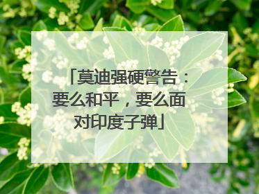莫迪强硬警告：要么和平，要么面对印度子弹