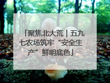 聚焦北大荒｜五九七农场筑牢“安全生产”鲜明底色