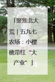 聚焦北大荒｜五九七农场：小樱桃带红“大产业”
