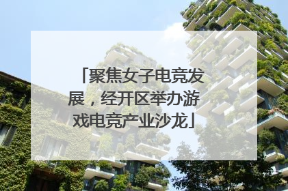 聚焦女子电竞发展，经开区举办游戏电竞产业沙龙