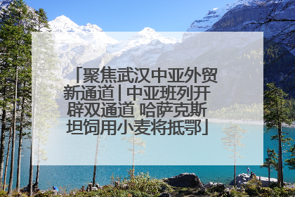 聚焦武汉中亚外贸新通道│中亚班列开辟双通道 哈萨克斯坦饲用小麦将抵鄂