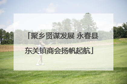 聚乡贤谋发展 永春县东关镇商会扬帆起航