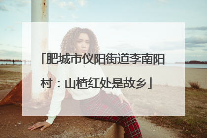 肥城市仪阳街道李南阳村：山楂红处是故乡