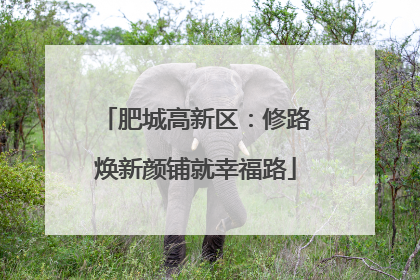 肥城高新区：修路焕新颜铺就幸福路