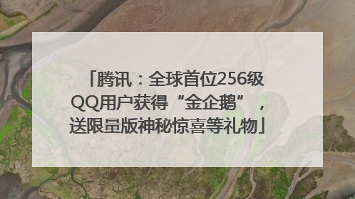 腾讯：全球首位256级QQ用户获得“金企鹅”，送限量版神秘惊喜等礼物