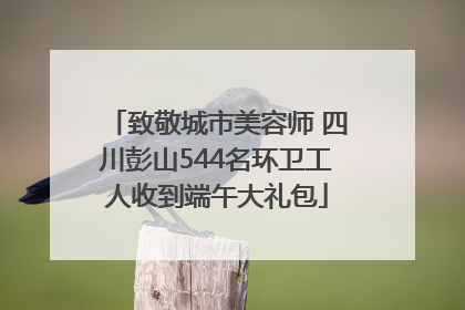 致敬城市美容师 四川彭山544名环卫工人收到端午大礼包