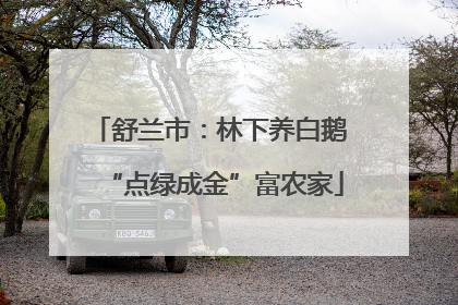 舒兰市：林下养白鹅 “点绿成金”富农家