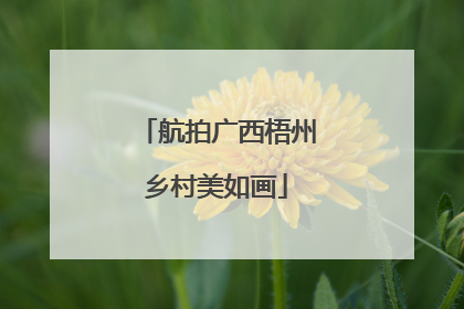 航拍广西梧州乡村美如画
