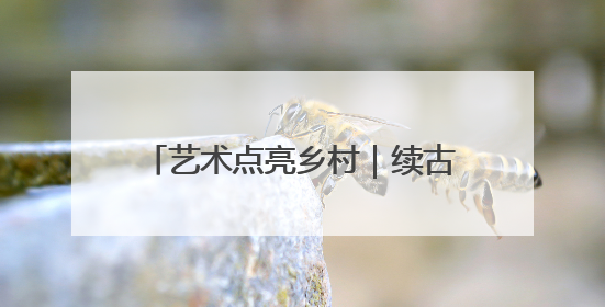 艺术点亮乡村｜续古村文脉，启耕读新程