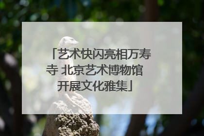 艺术快闪亮相万寿寺 北京艺术博物馆开展文化雅集