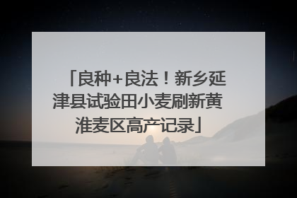 良种+良法！新乡延津县试验田小麦刷新黄淮麦区高产记录