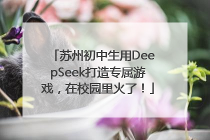 苏州初中生用DeepSeek打造专属游戏，在校园里火了！