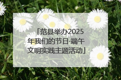 范县举办2025年我们的节日·端午文明实践主题活动