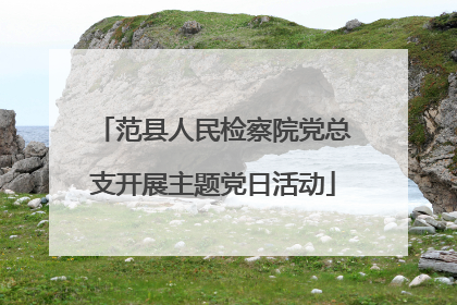 范县人民检察院党总支开展主题党日活动