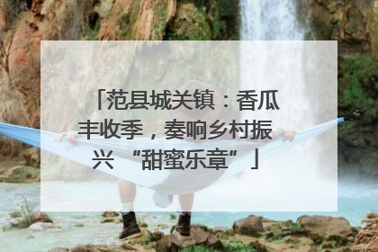 范县城关镇：香瓜丰收季，奏响乡村振兴 “甜蜜乐章”