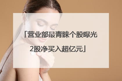 营业部最青睐个股曝光 2股净买入超亿元