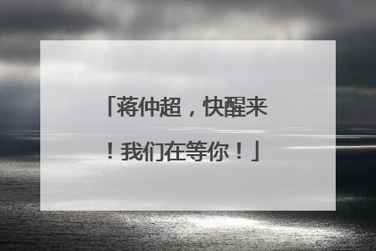 蒋仲超，快醒来！我们在等你！