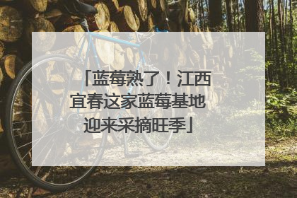 蓝莓熟了！江西宜春这家蓝莓基地迎来采摘旺季