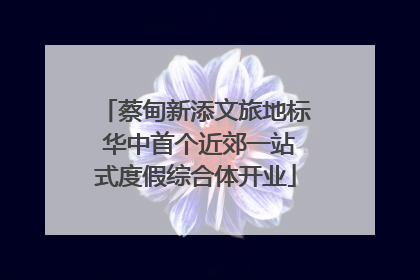 蔡甸新添文旅地标 华中首个近郊一站式度假综合体开业